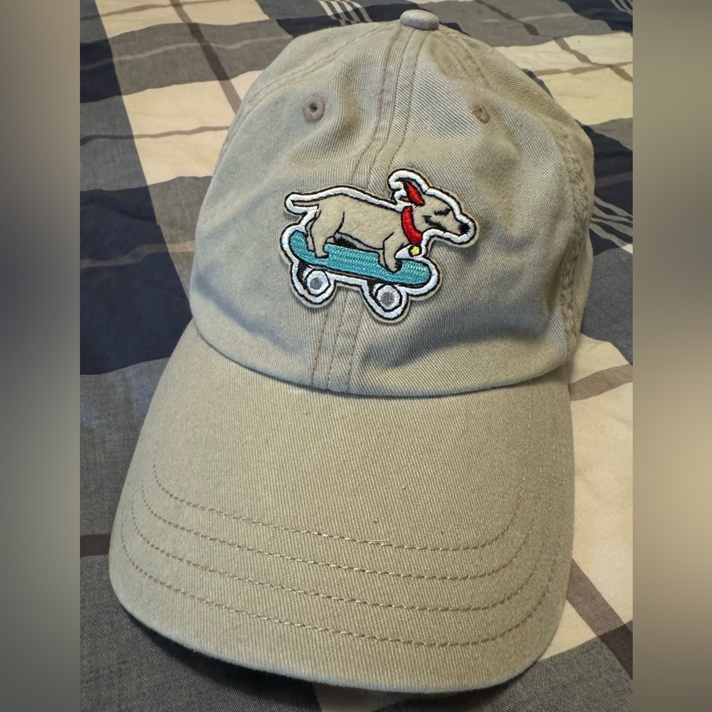 Dakine skater dog hat